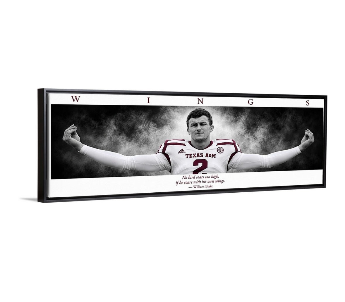Money Manziel WINGS