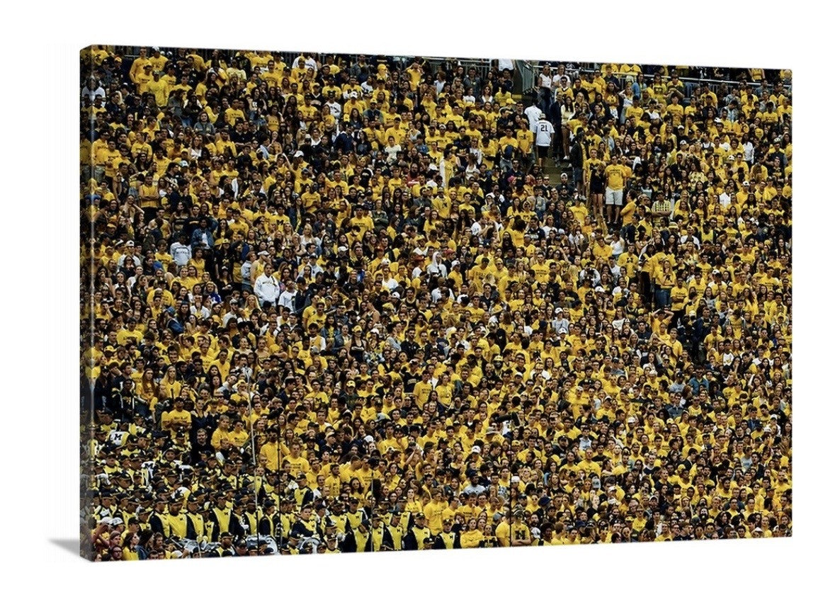 Wolverines Jackson Pollock