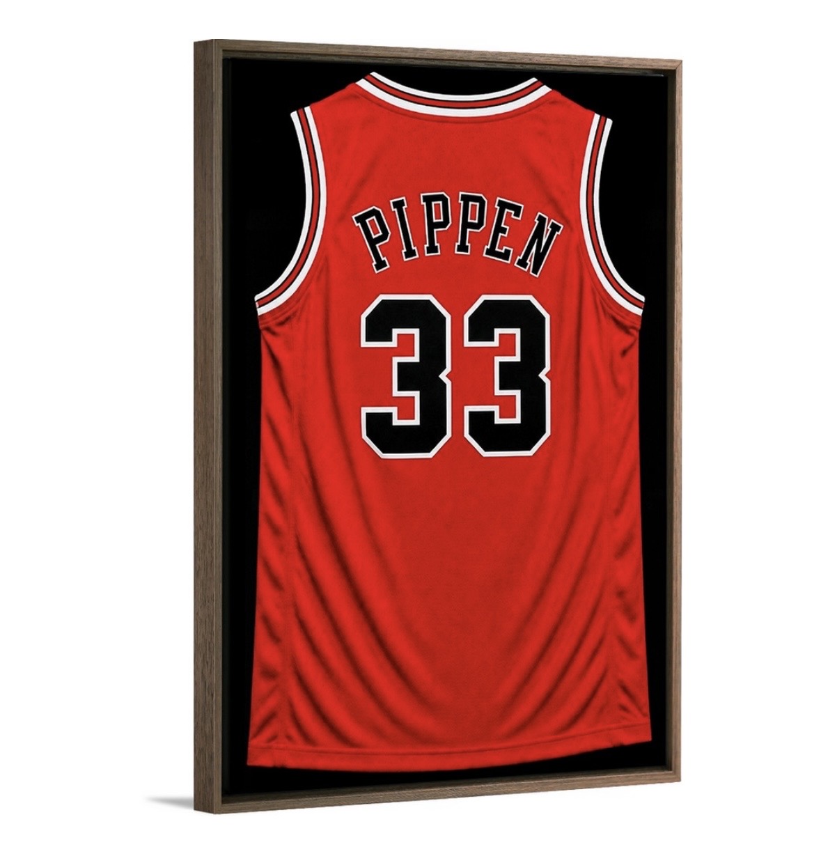 90's Chicago Bulls Dynasty