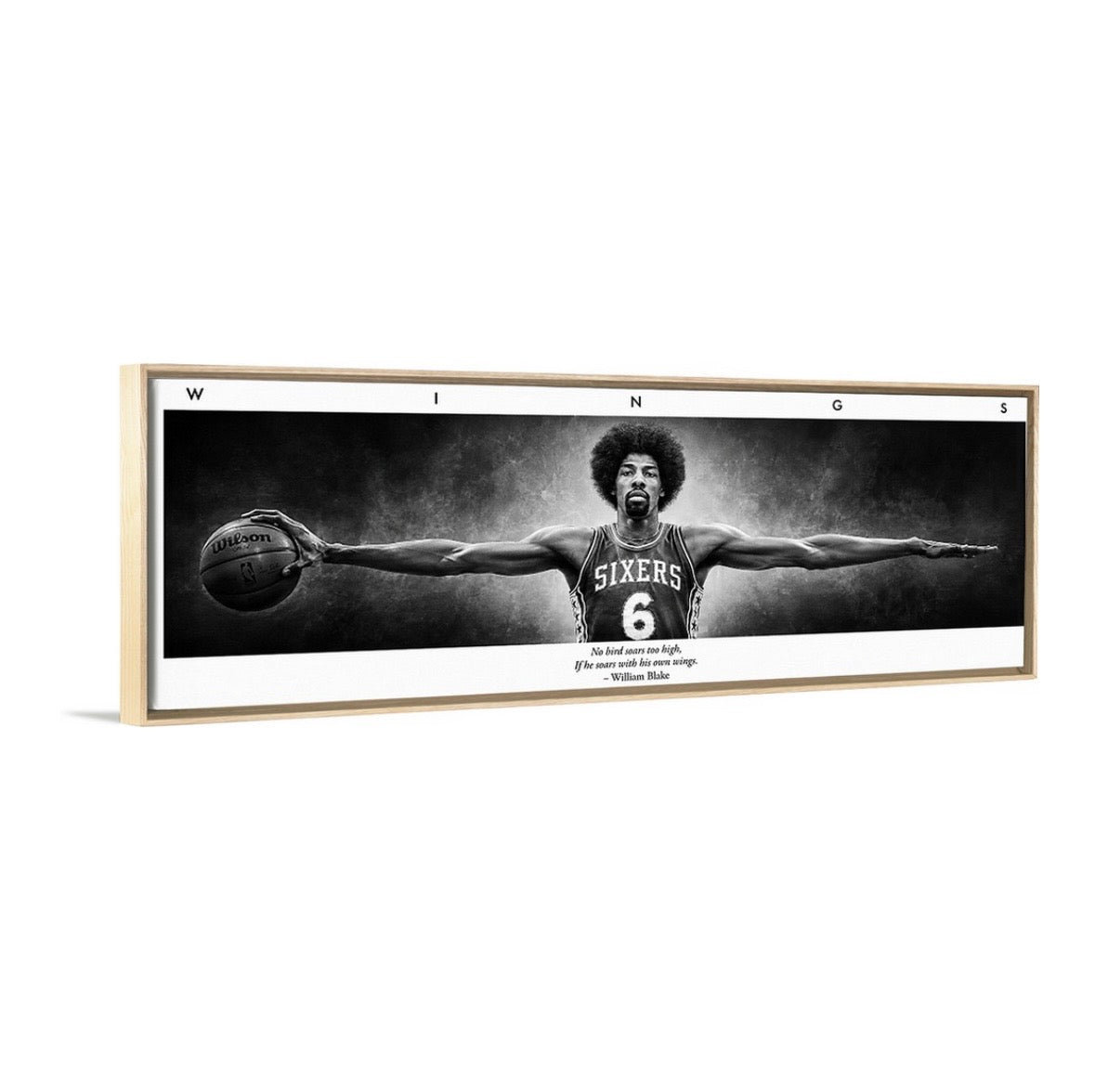 Dr. J Wings