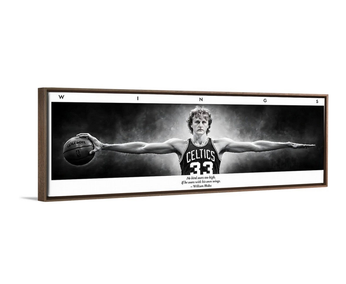 Larry Birds Wings