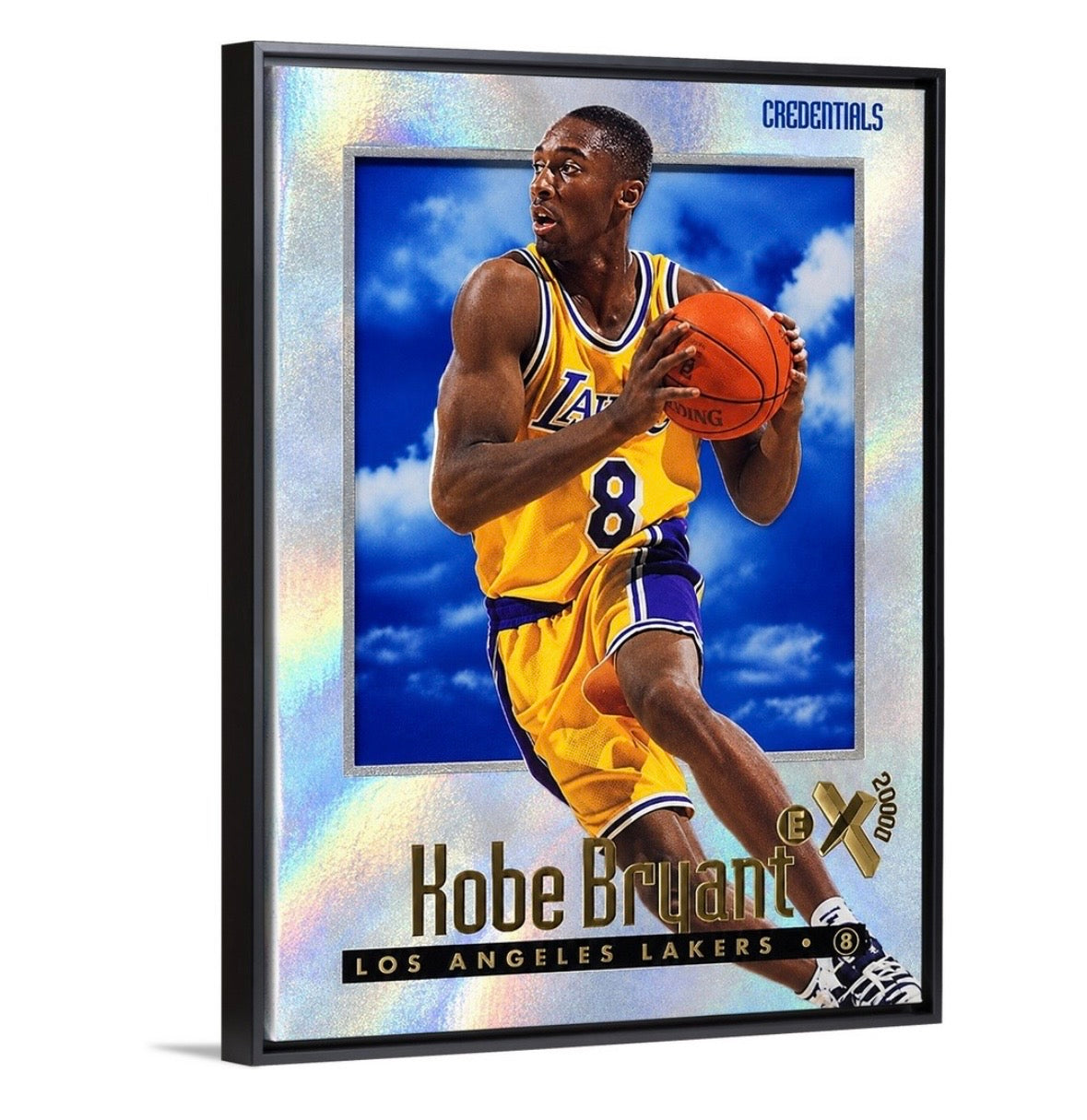 Kobe '96 eX2000 Credentials