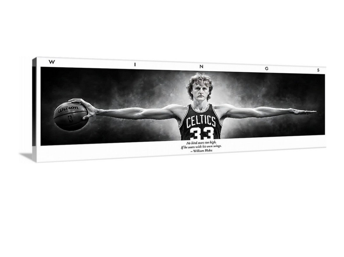 Larry Birds Wings