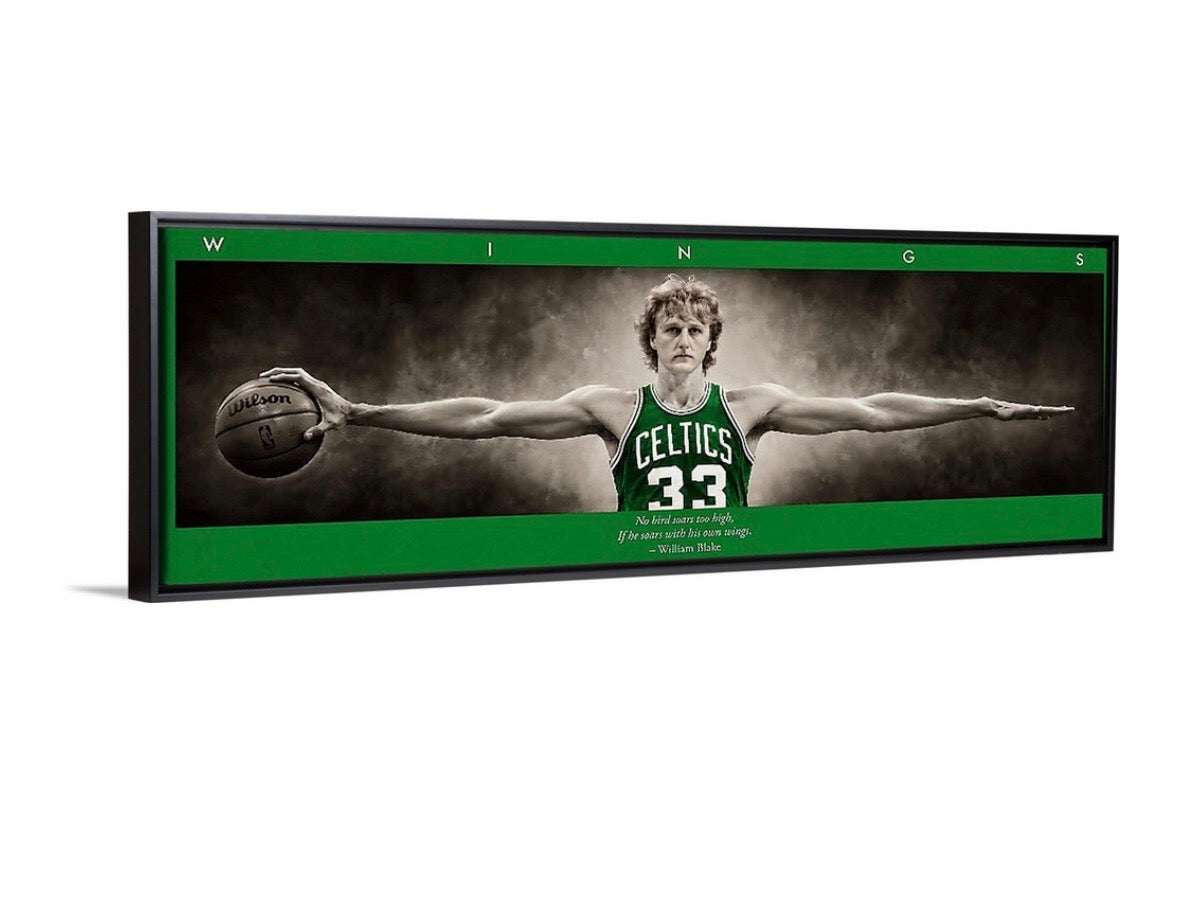 Larry Birds Wings (Color Edition)