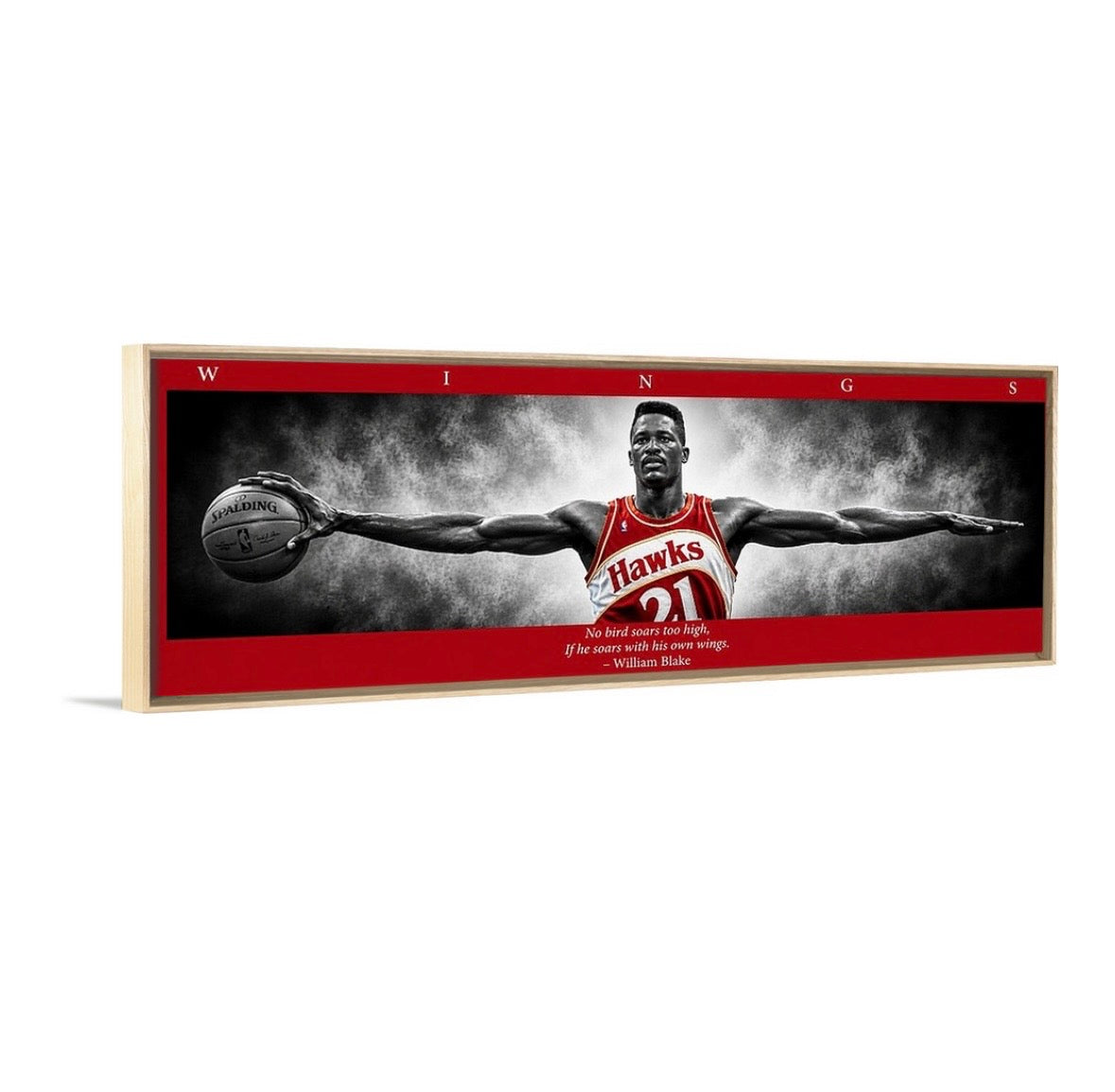 Dominique Wilkins Wings (Color Edition)