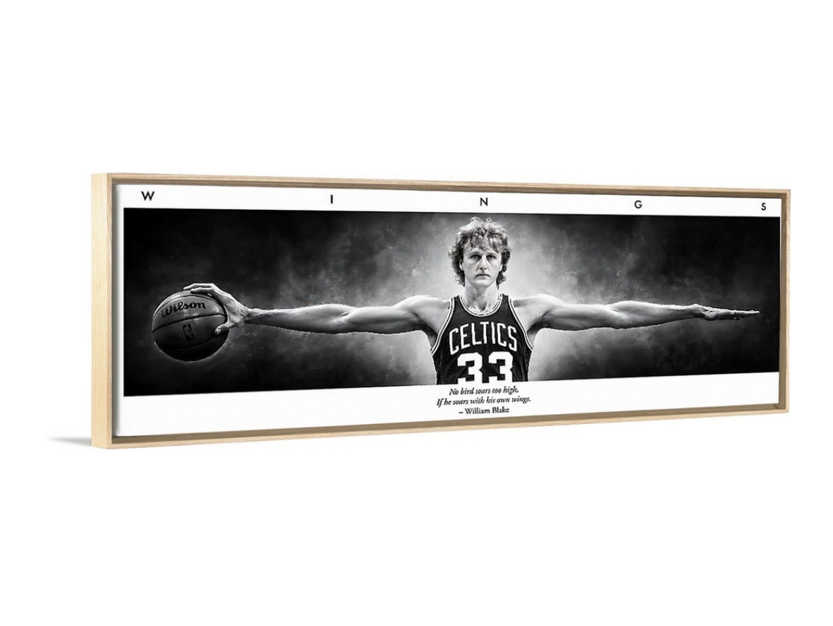 Larry Birds Wings