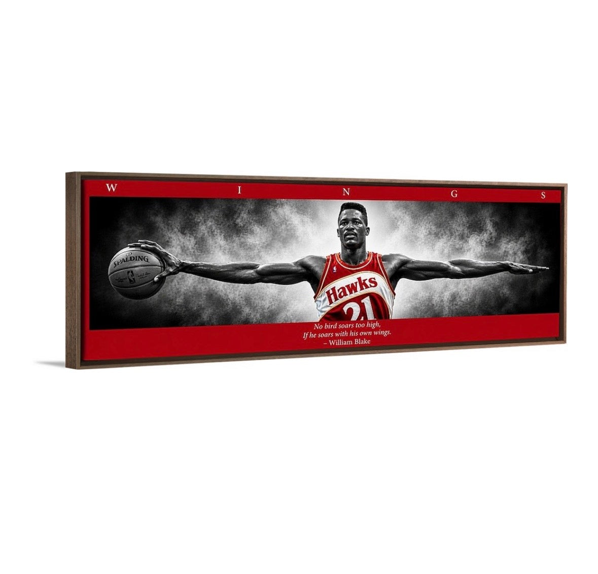 Dominique Wilkins Wings (Color Edition)