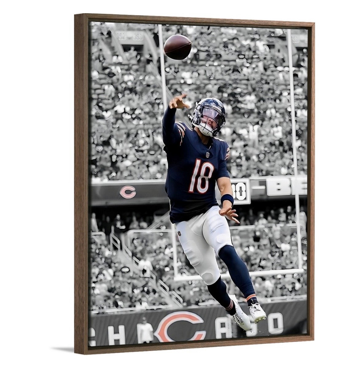 The Bear Cub
