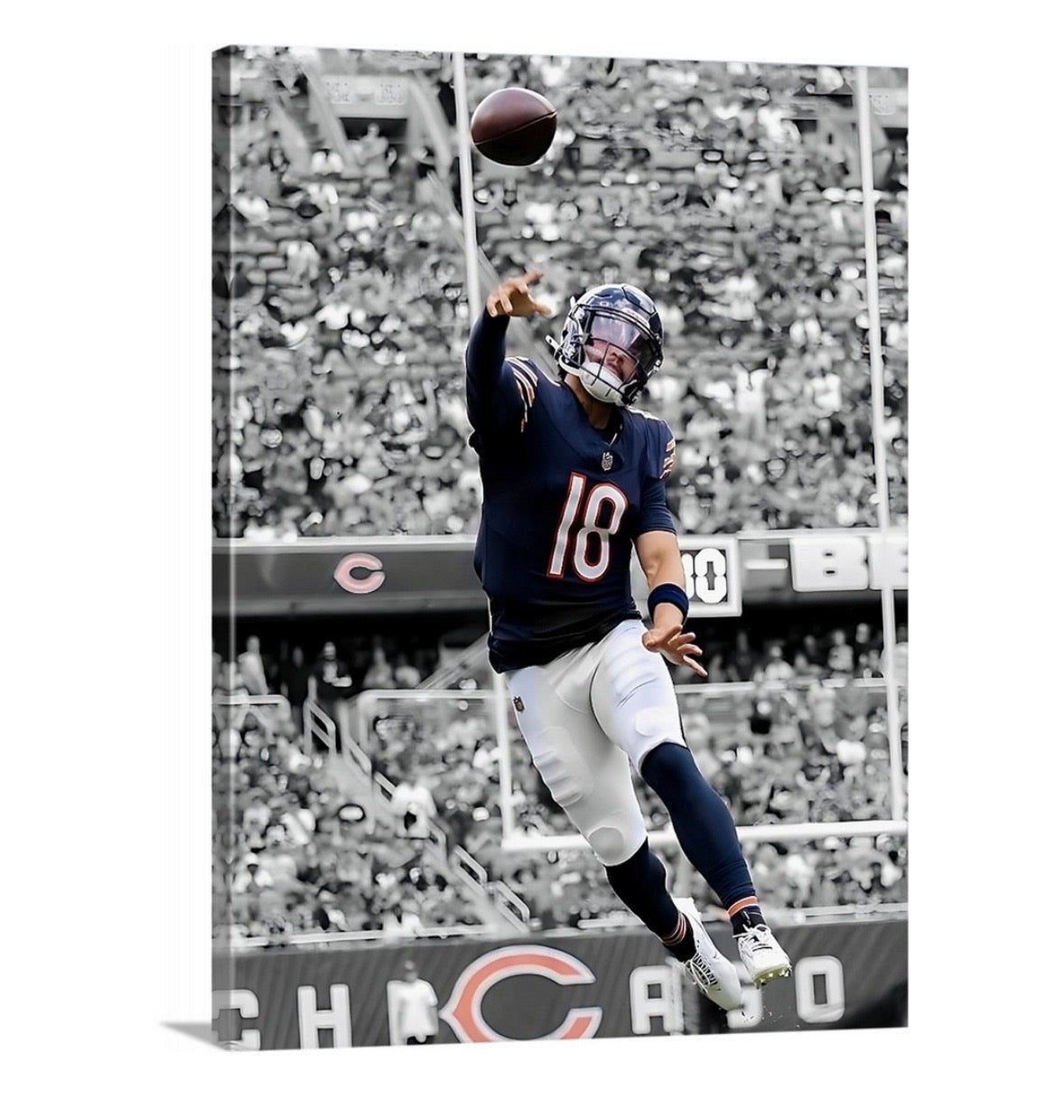 The Bear Cub