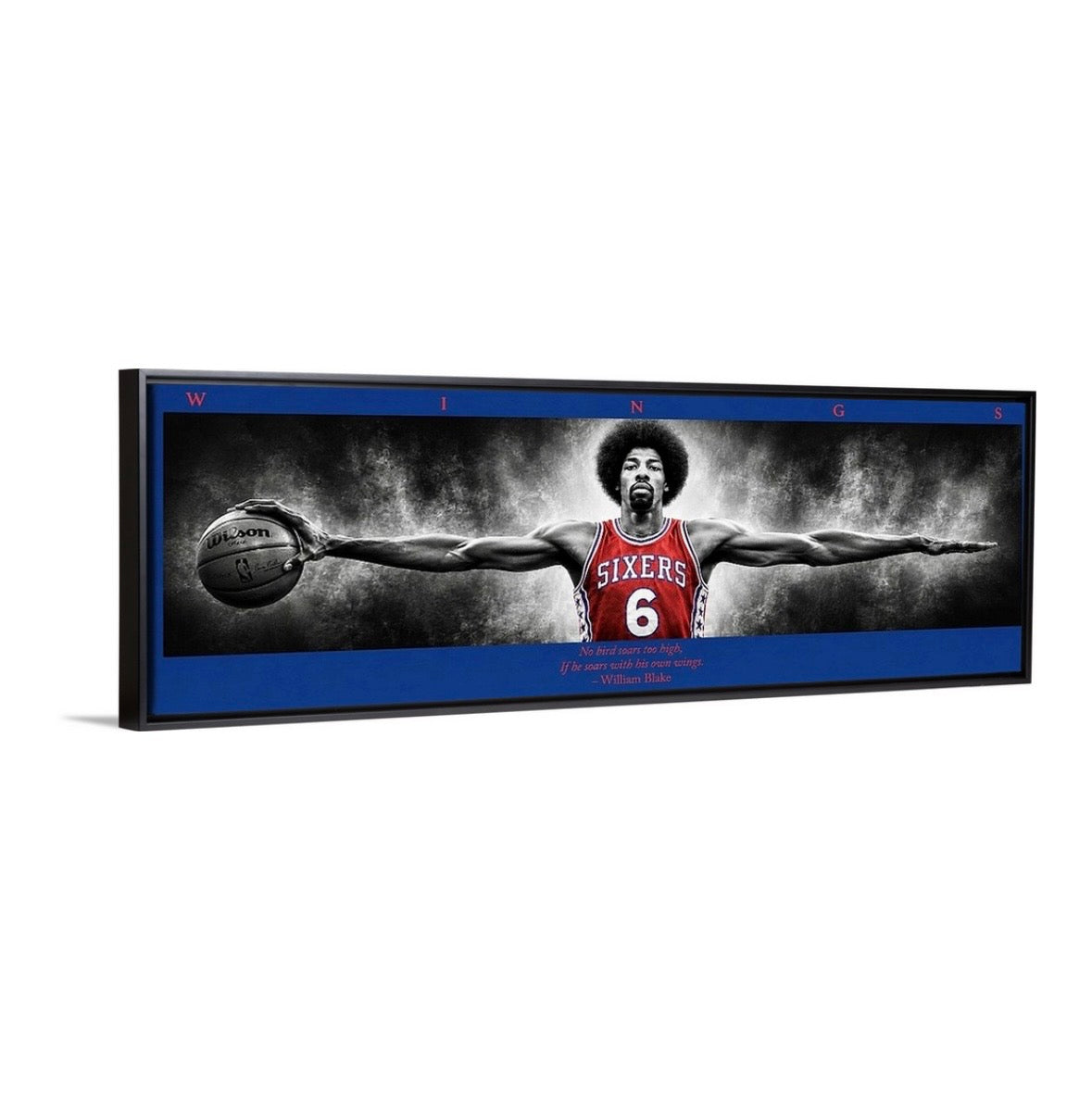 Dr. J Wings (Color Edition)