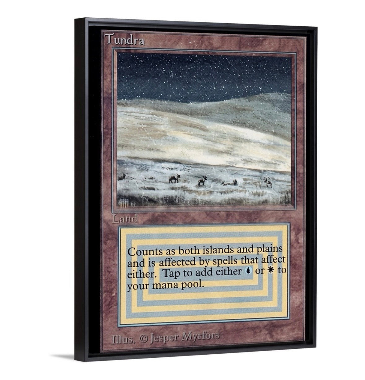 Tundra