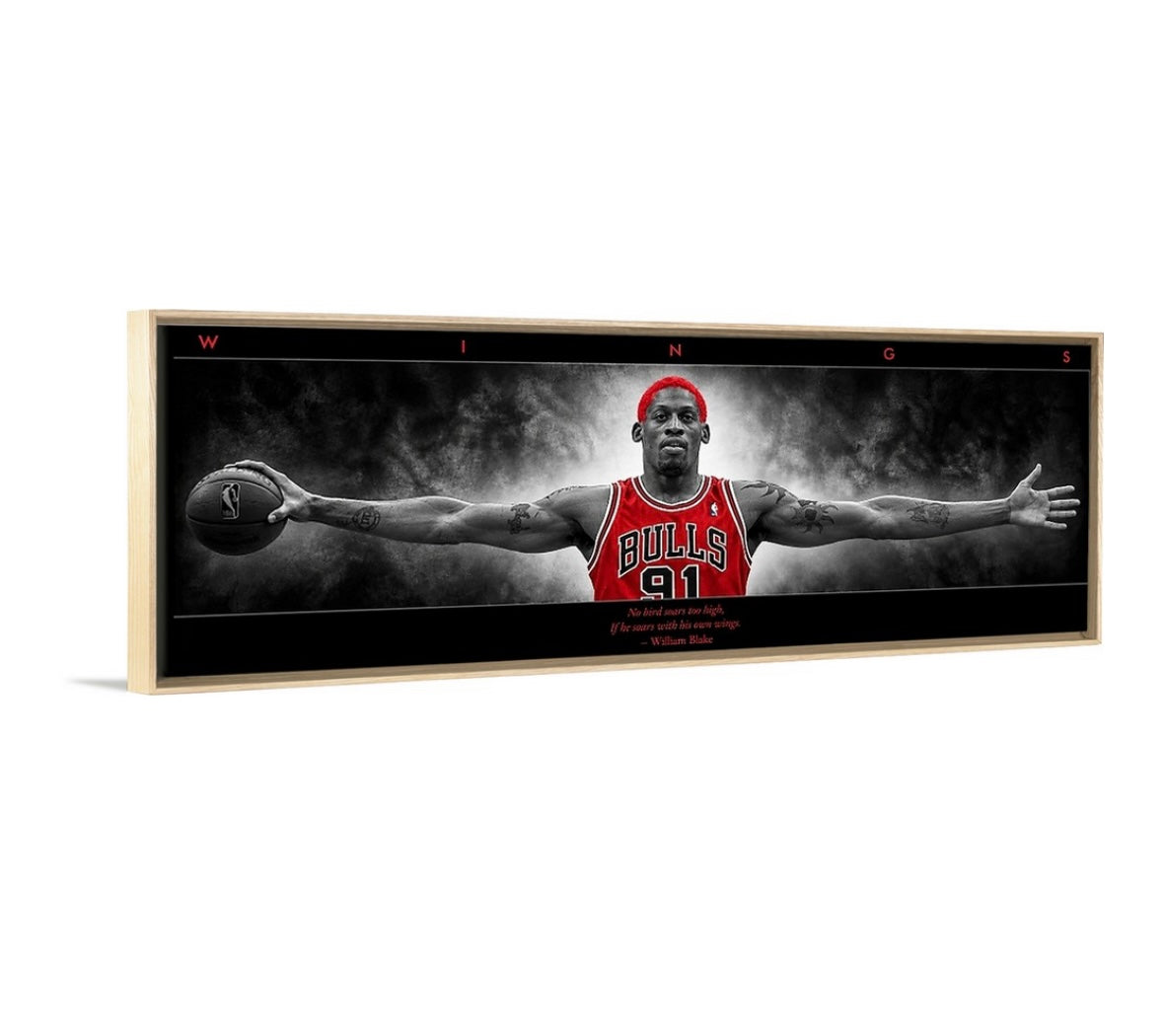Rodman Wings (BRED Edition)