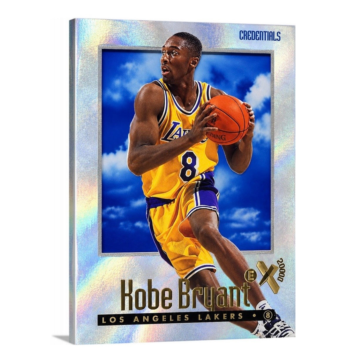Kobe '96 eX2000 Credentials