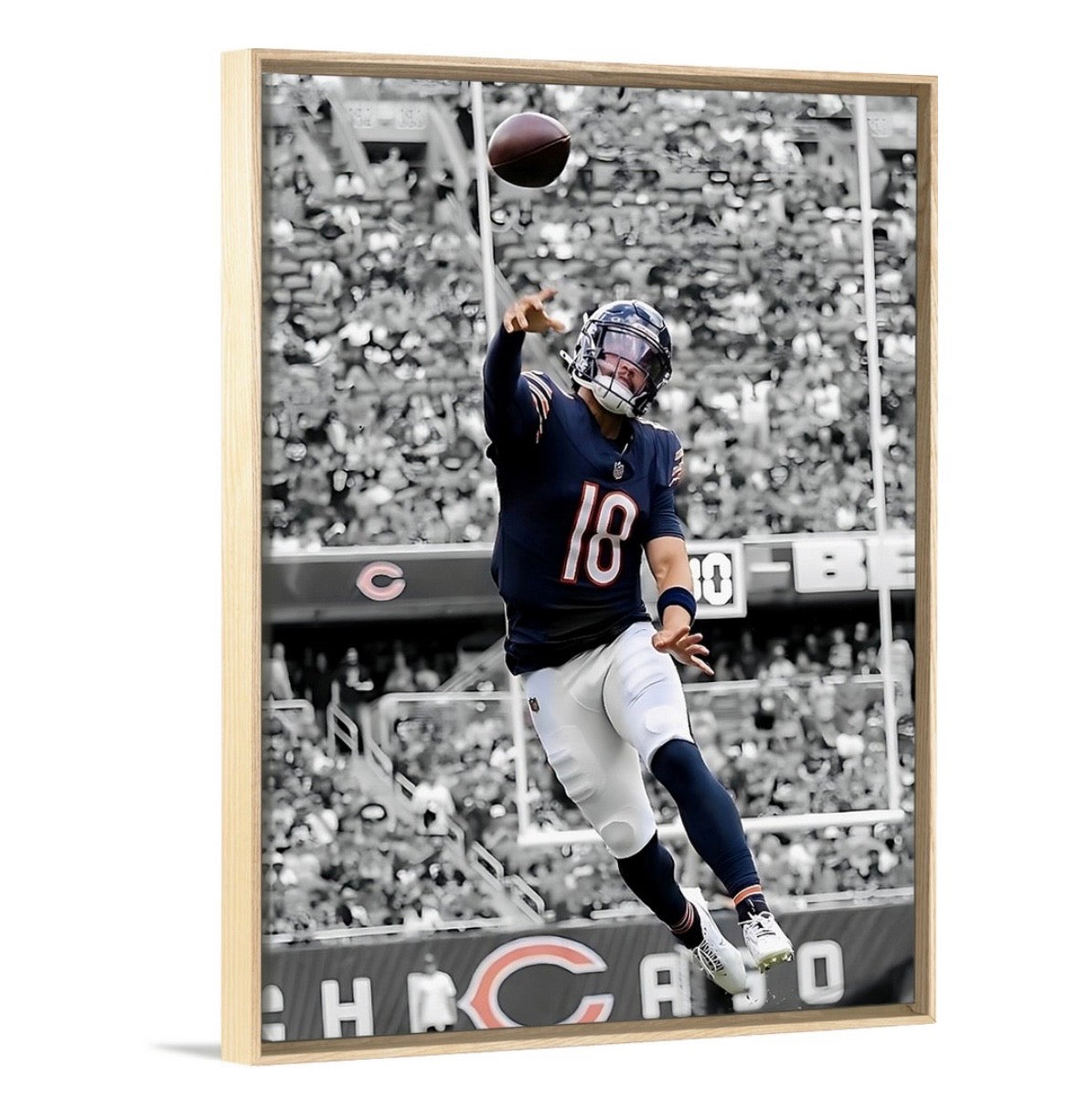 The Bear Cub