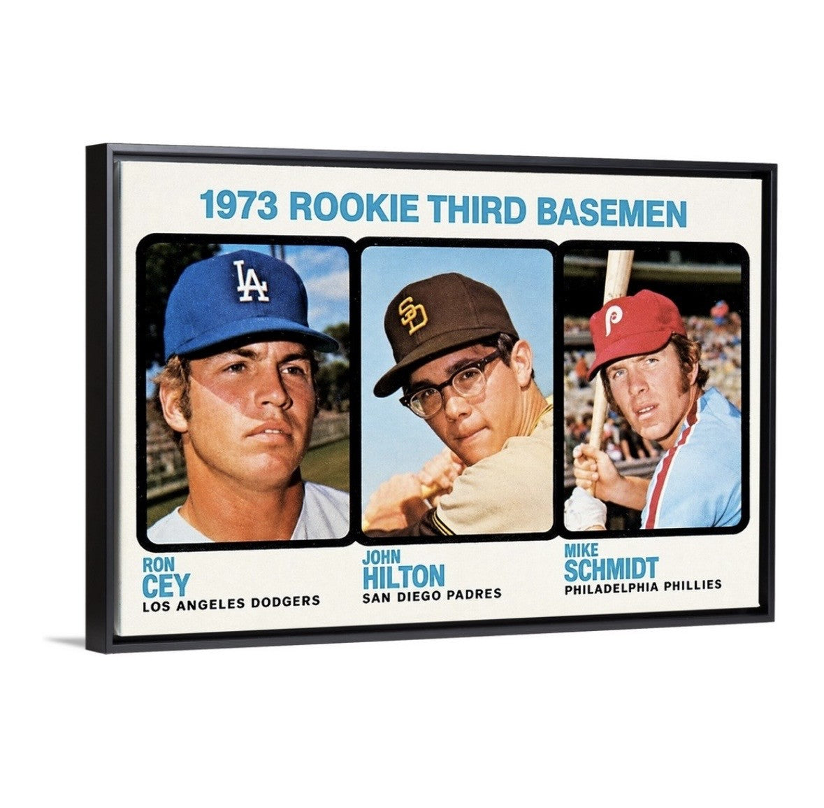 Mike Schmidt '73