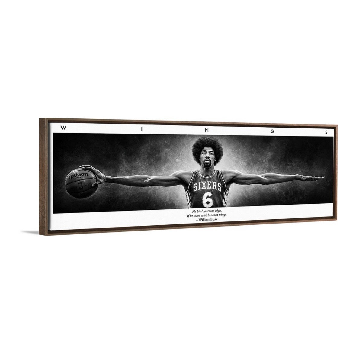Dr. J Wings