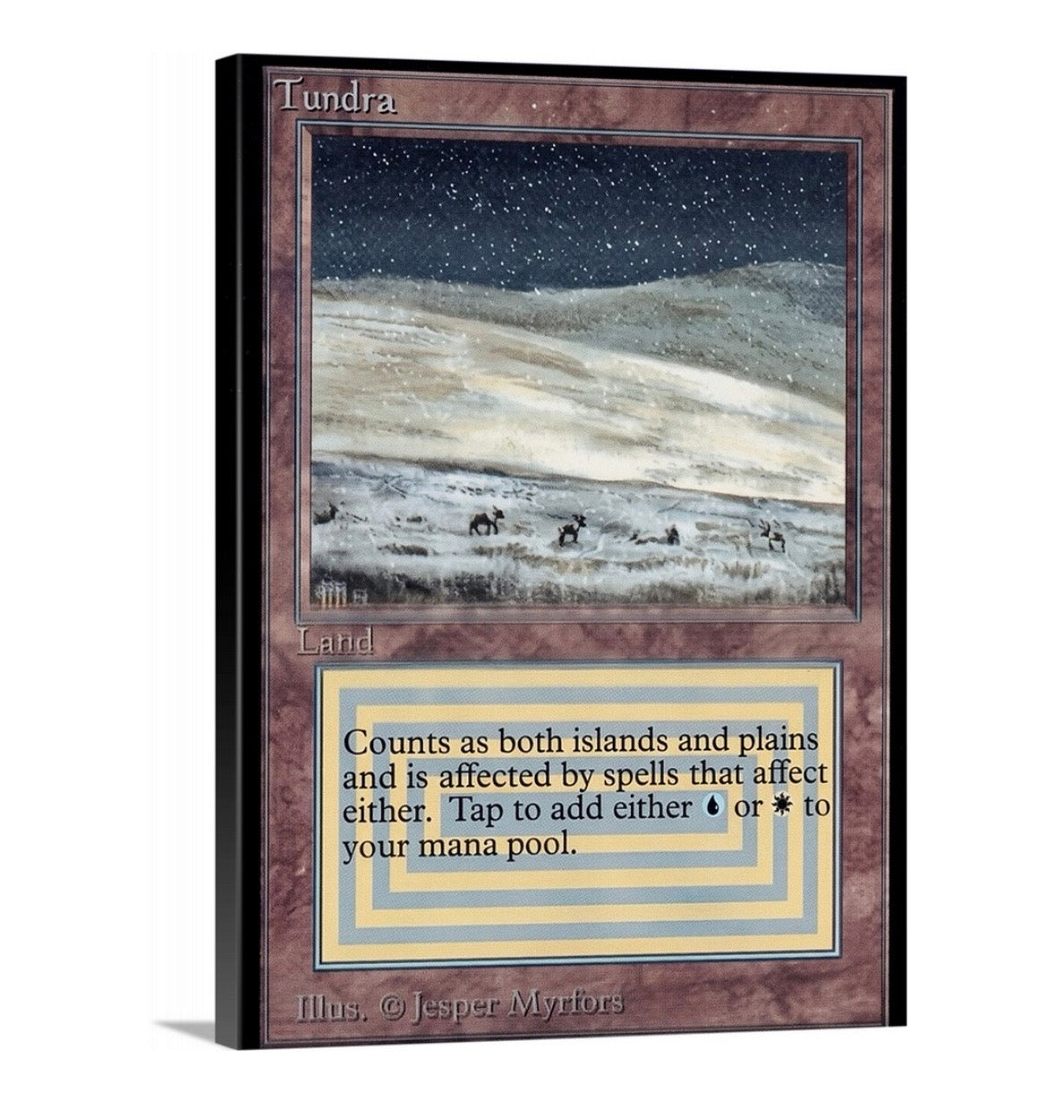 Tundra