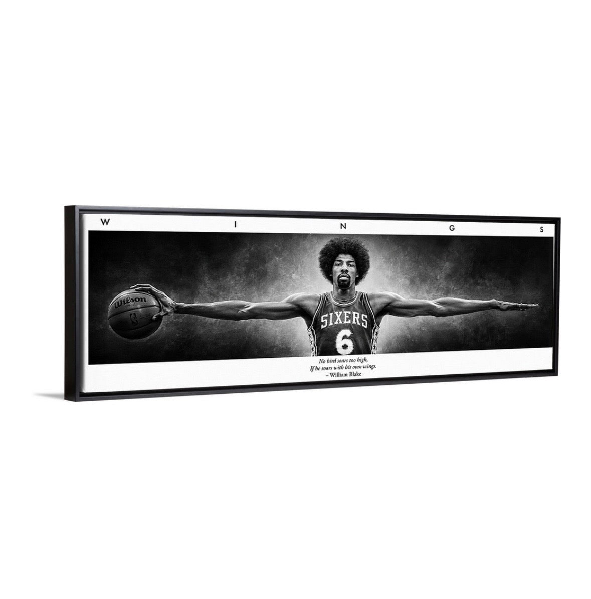 Dr. J Wings