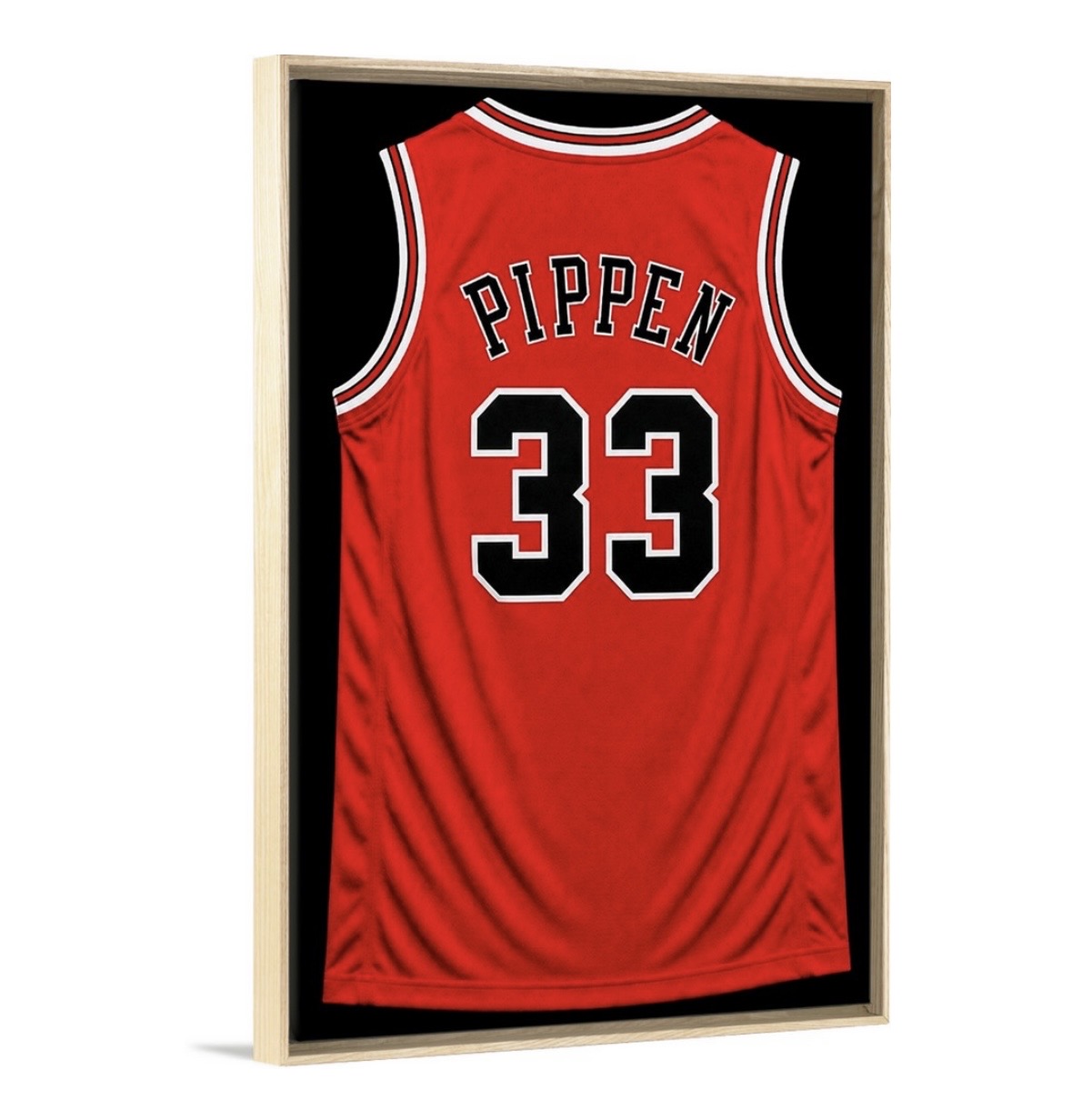 90's Chicago Bulls Dynasty