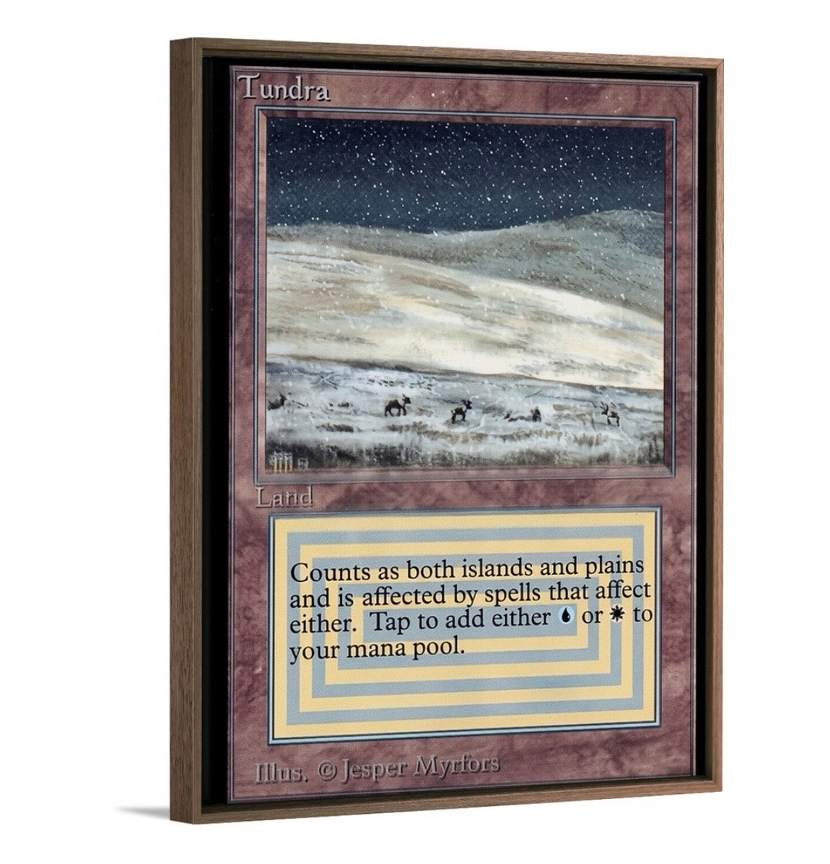 Tundra
