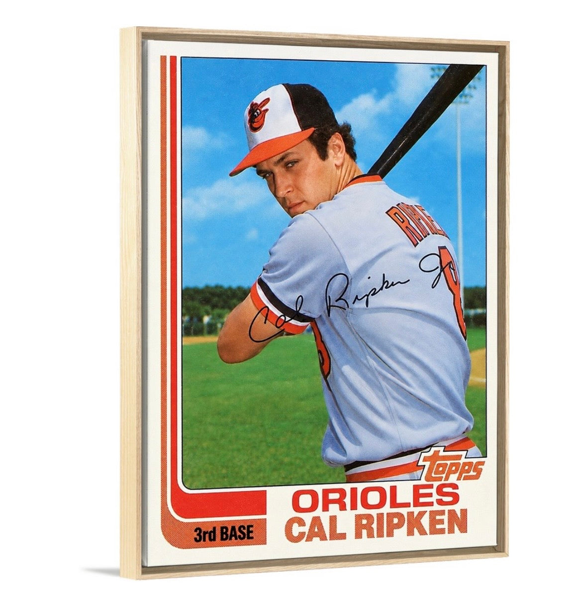 Cal Ripken ‘82