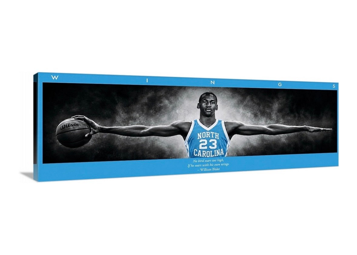Jordan Wings (Tarheel Edition)