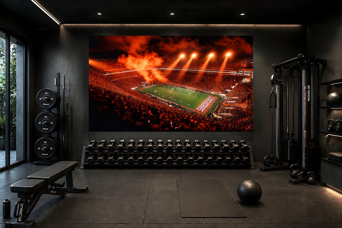 Hook'em Horns