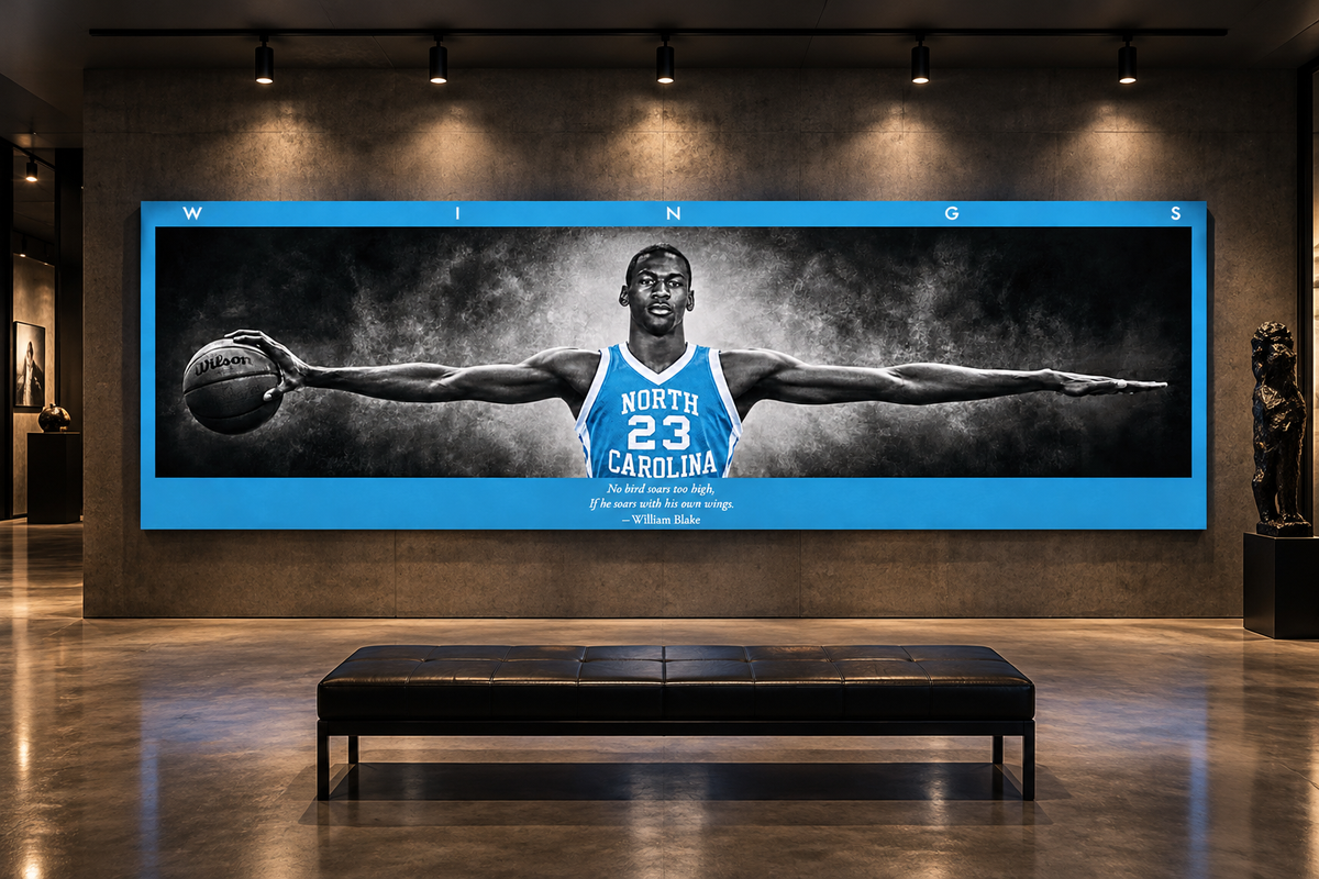 Jordan Wings (Tarheel Edition)