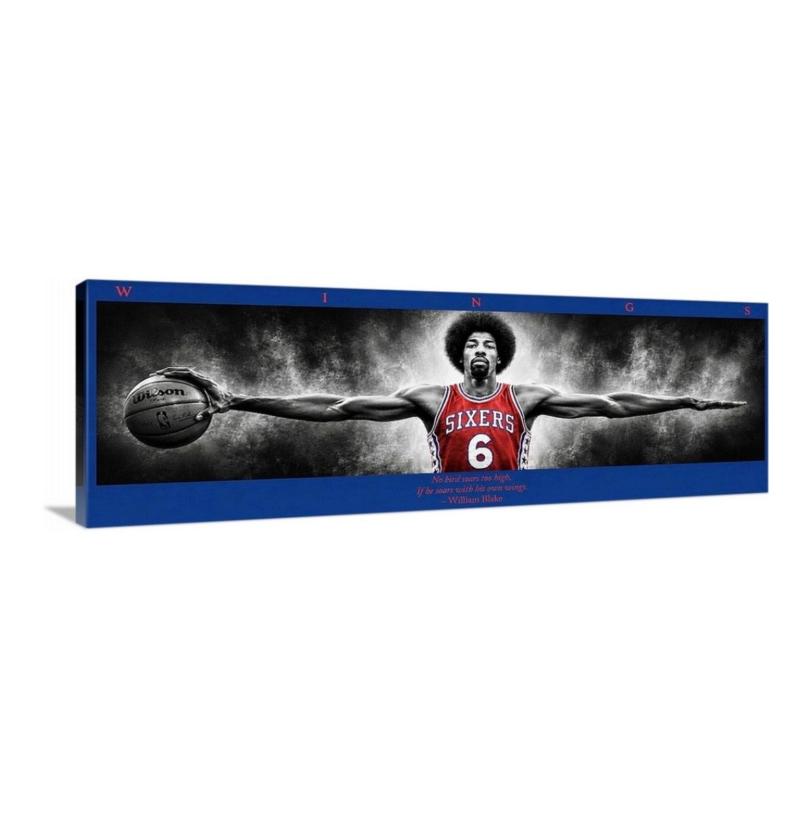 Dr. J Wings (Color Edition)