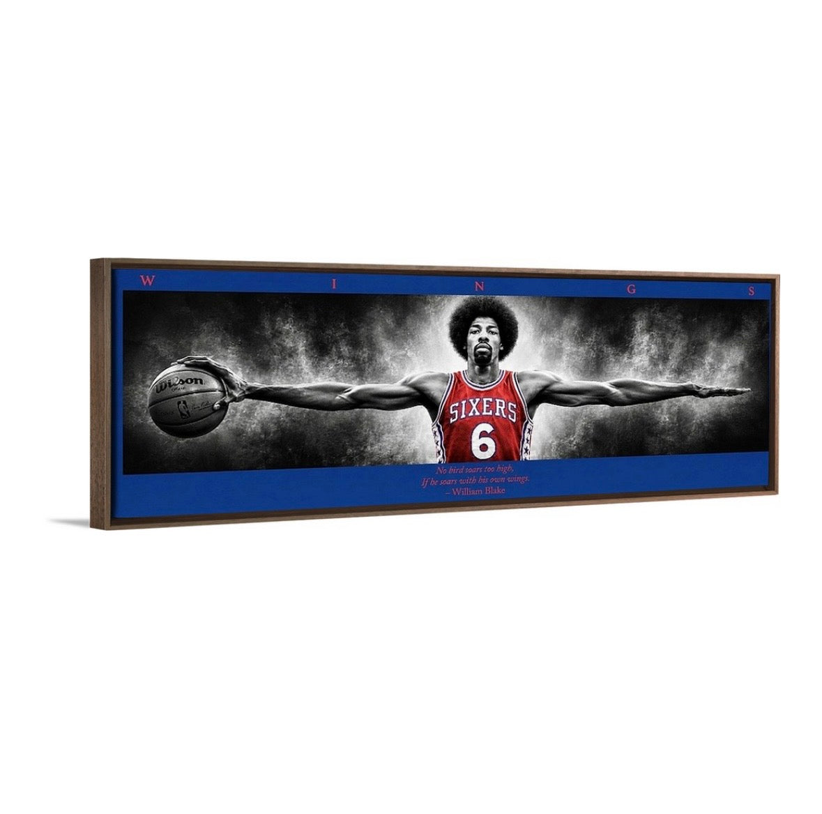 Dr. J Wings (Color Edition)