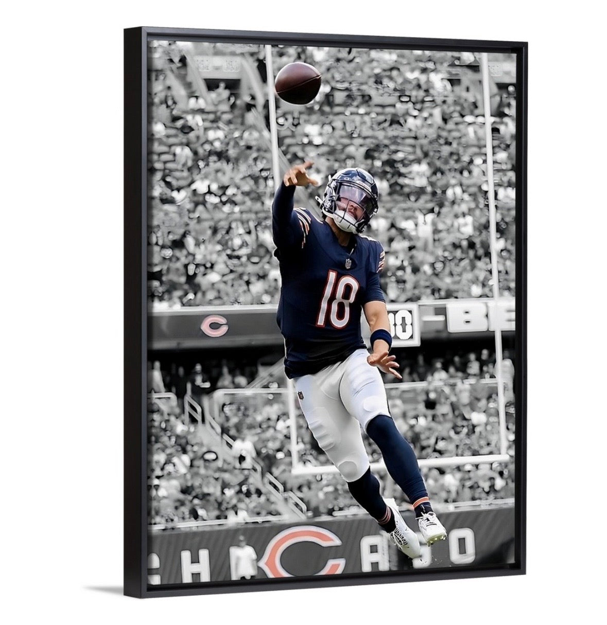 The Bear Cub