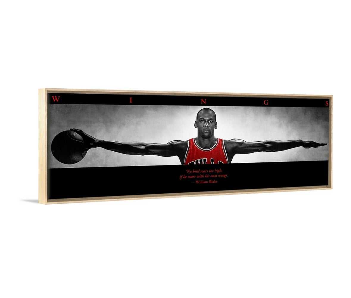 Jordan Wings (BRED)