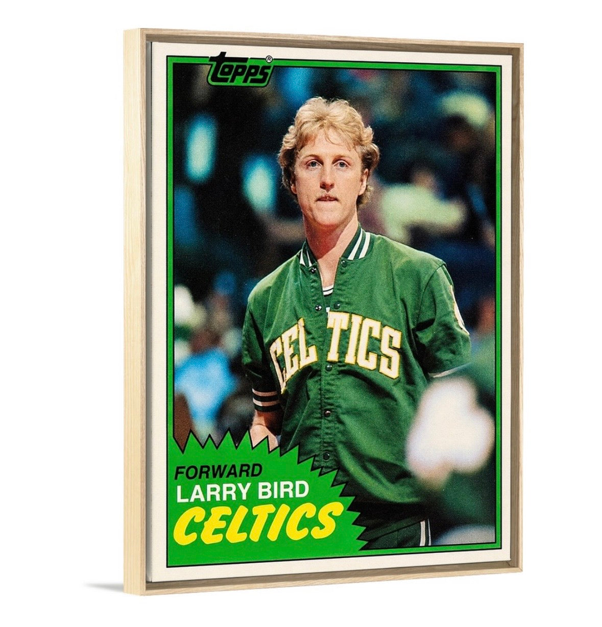 Bird '81