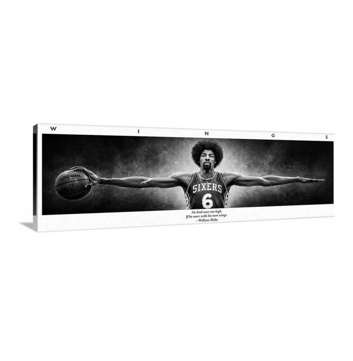 Dr. J Wings