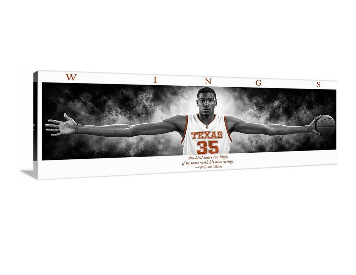 KD TX WINGS