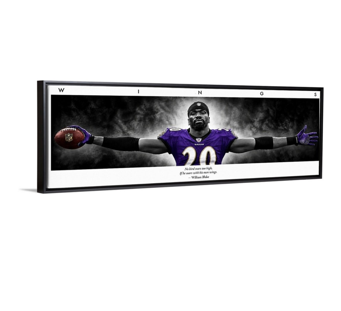 Ed Reed WINGS