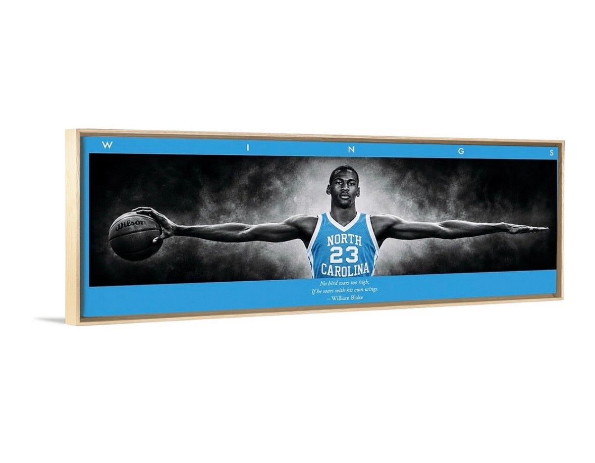 Jordan Wings (Tarheel Edition)