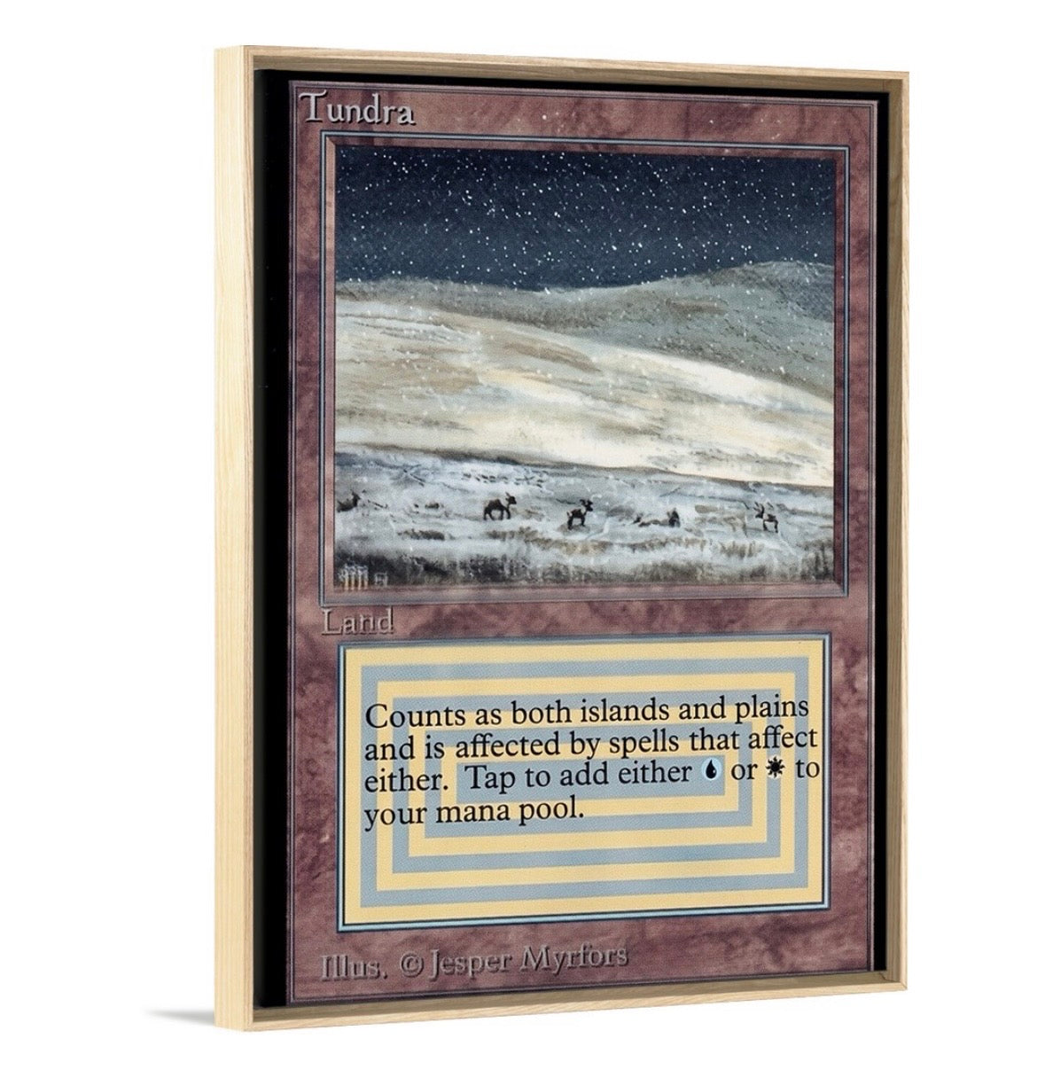Tundra