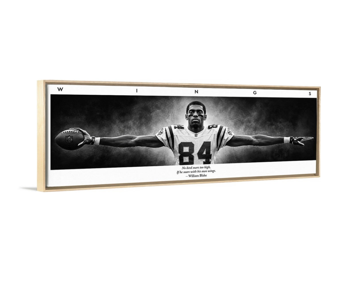 Randy Moss Wings