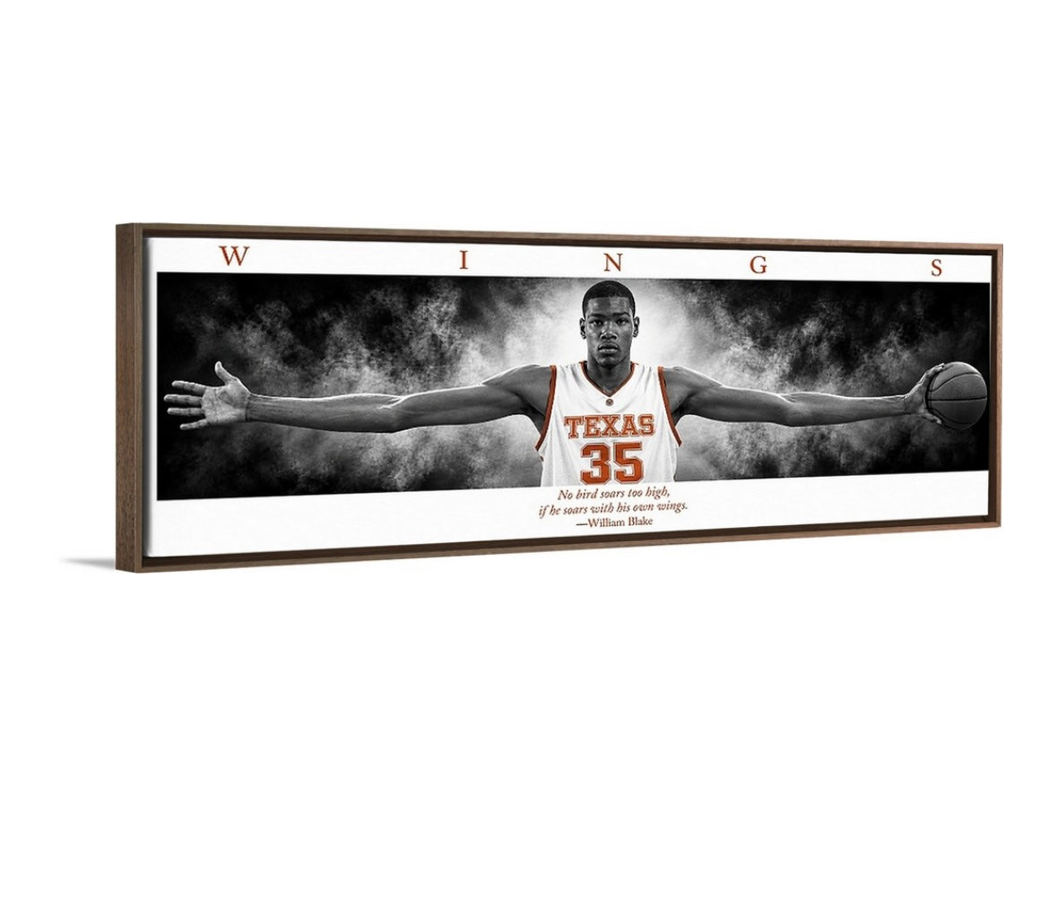 KD TX WINGS