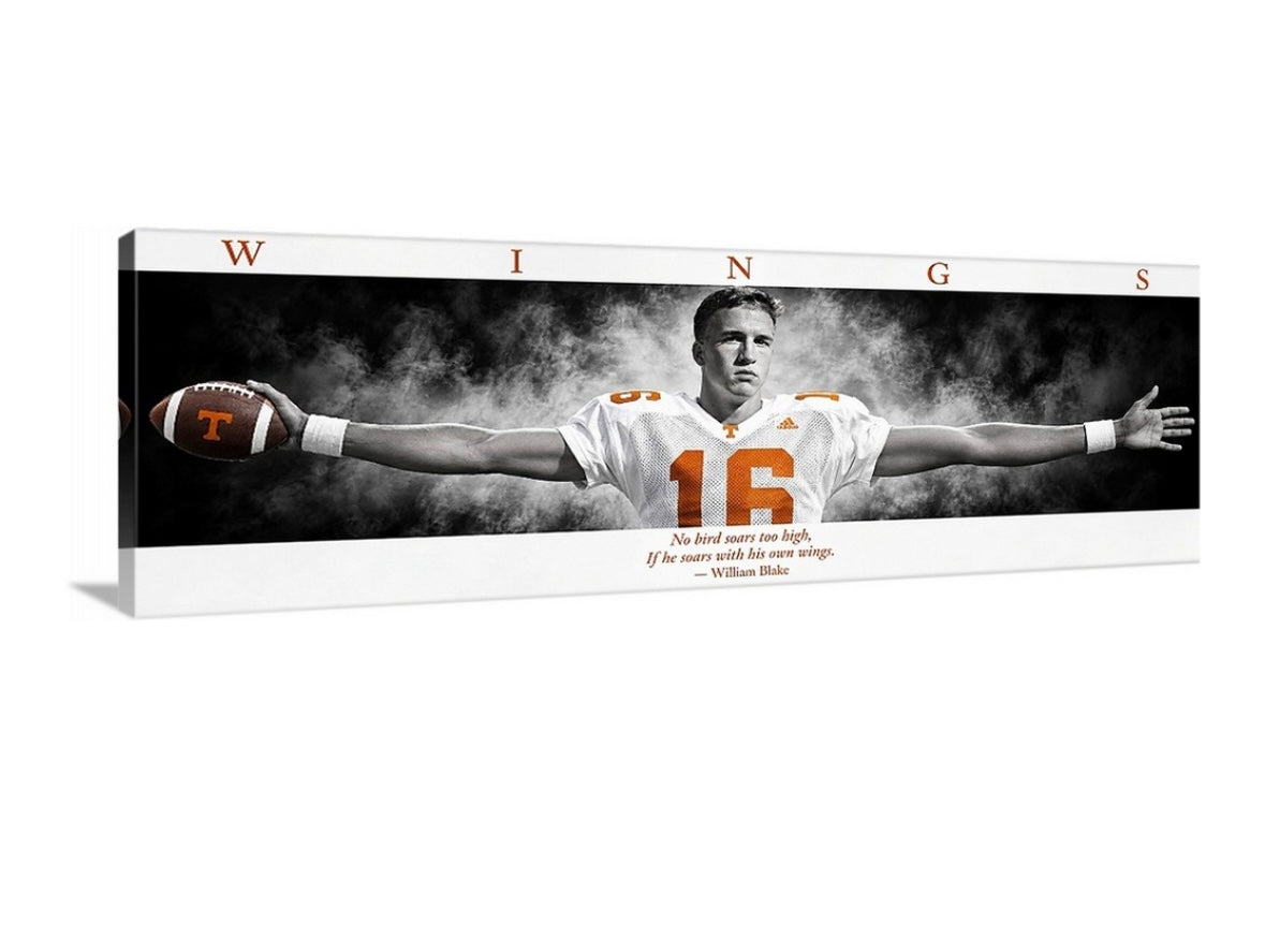 Tennessee WINGS