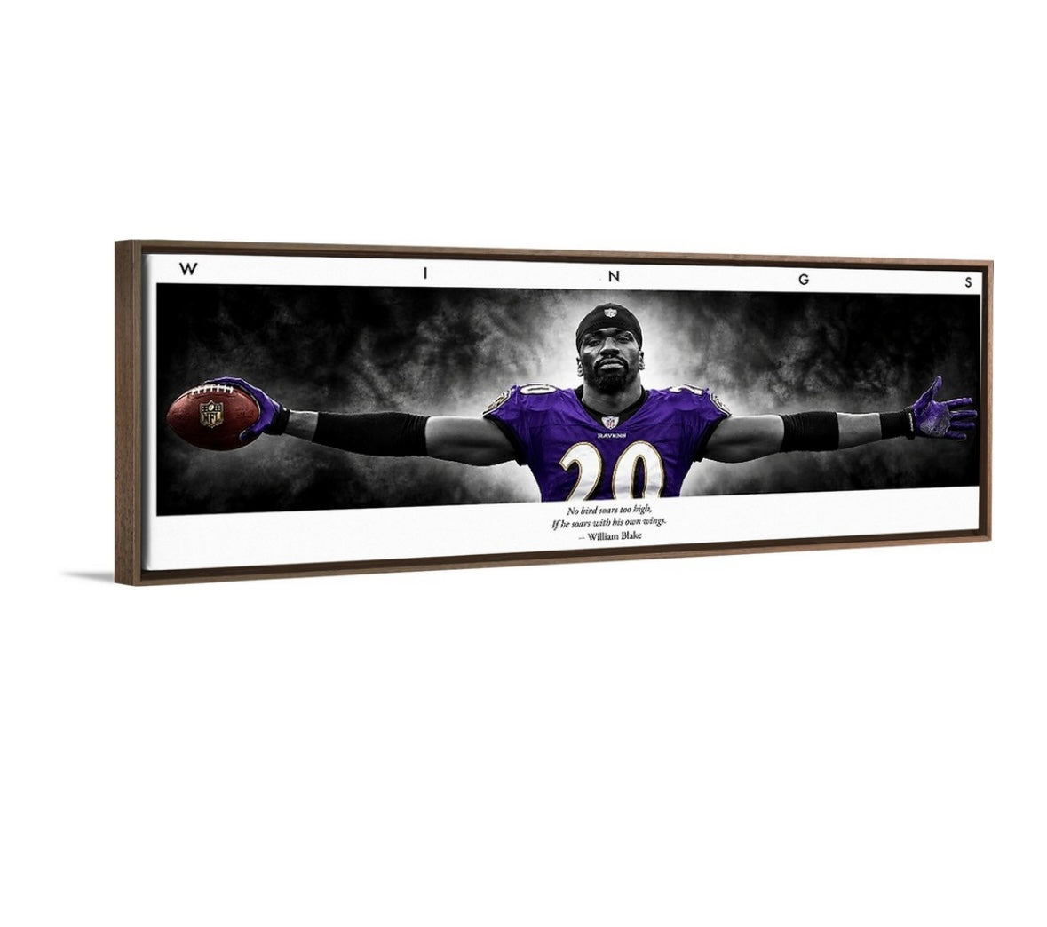 Ed Reed WINGS