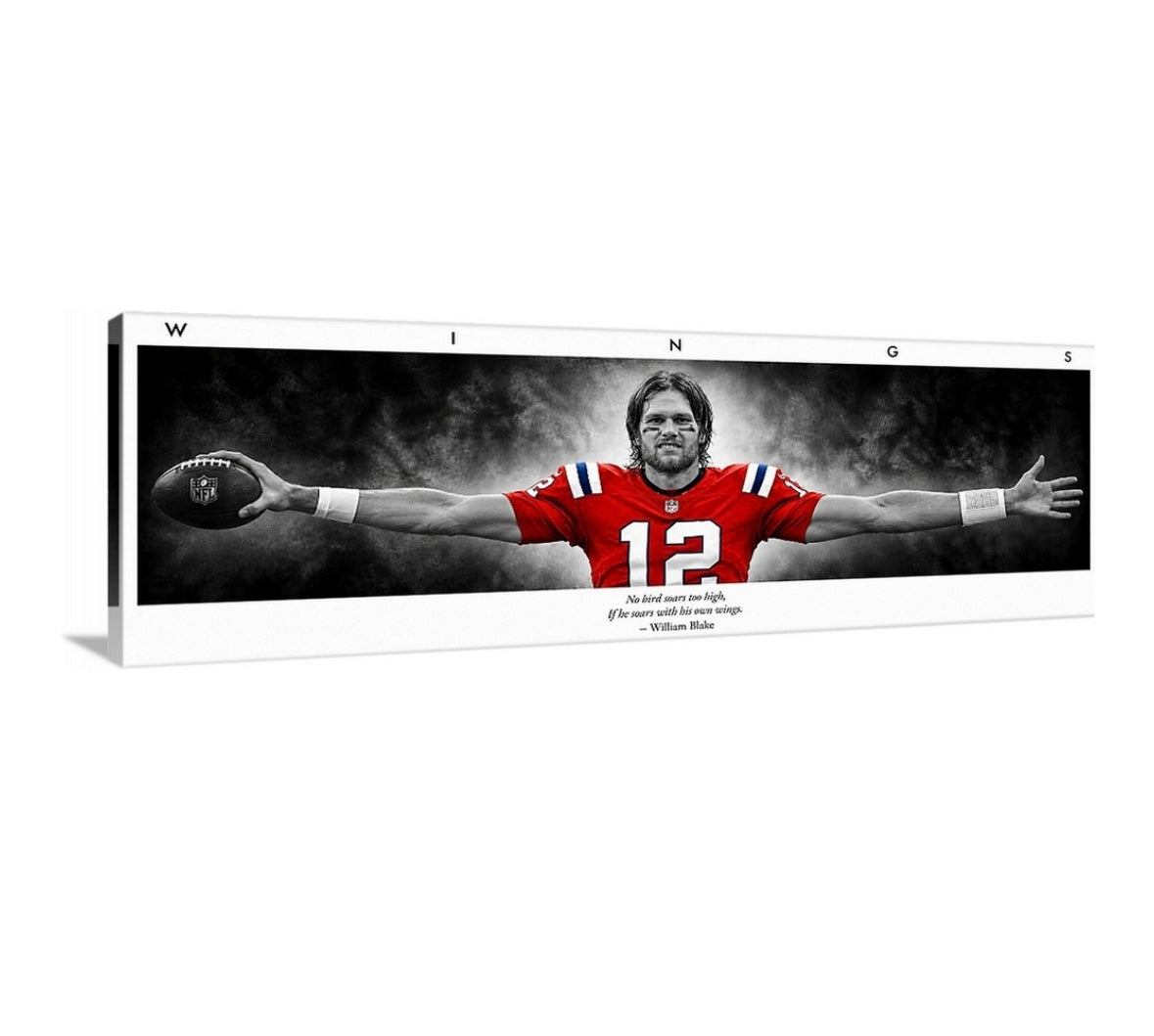 Brady Wings (Patriotic Edition)