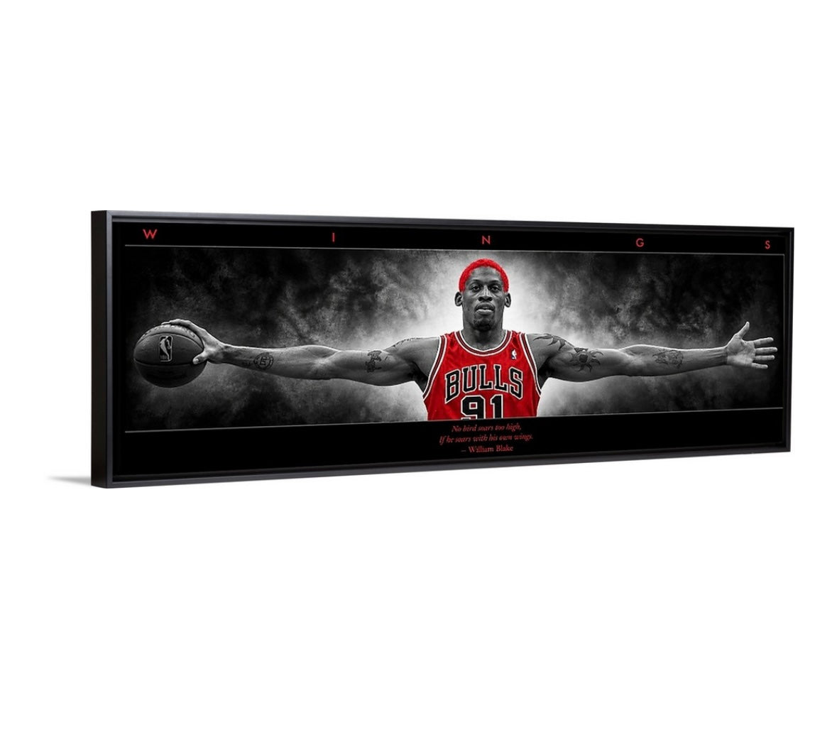 Rodman Wings (BRED Edition)