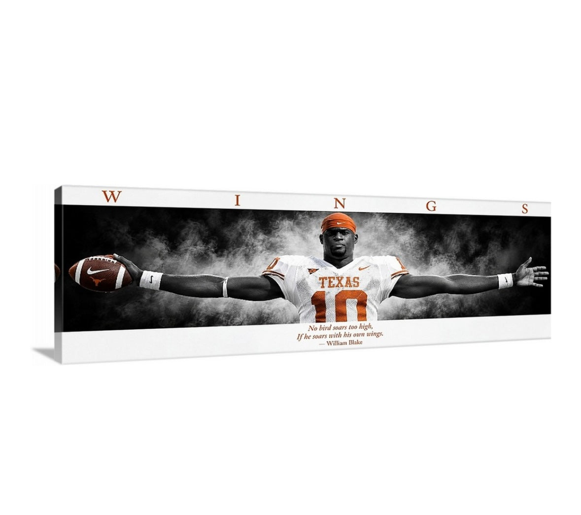 Longhorn WINGS