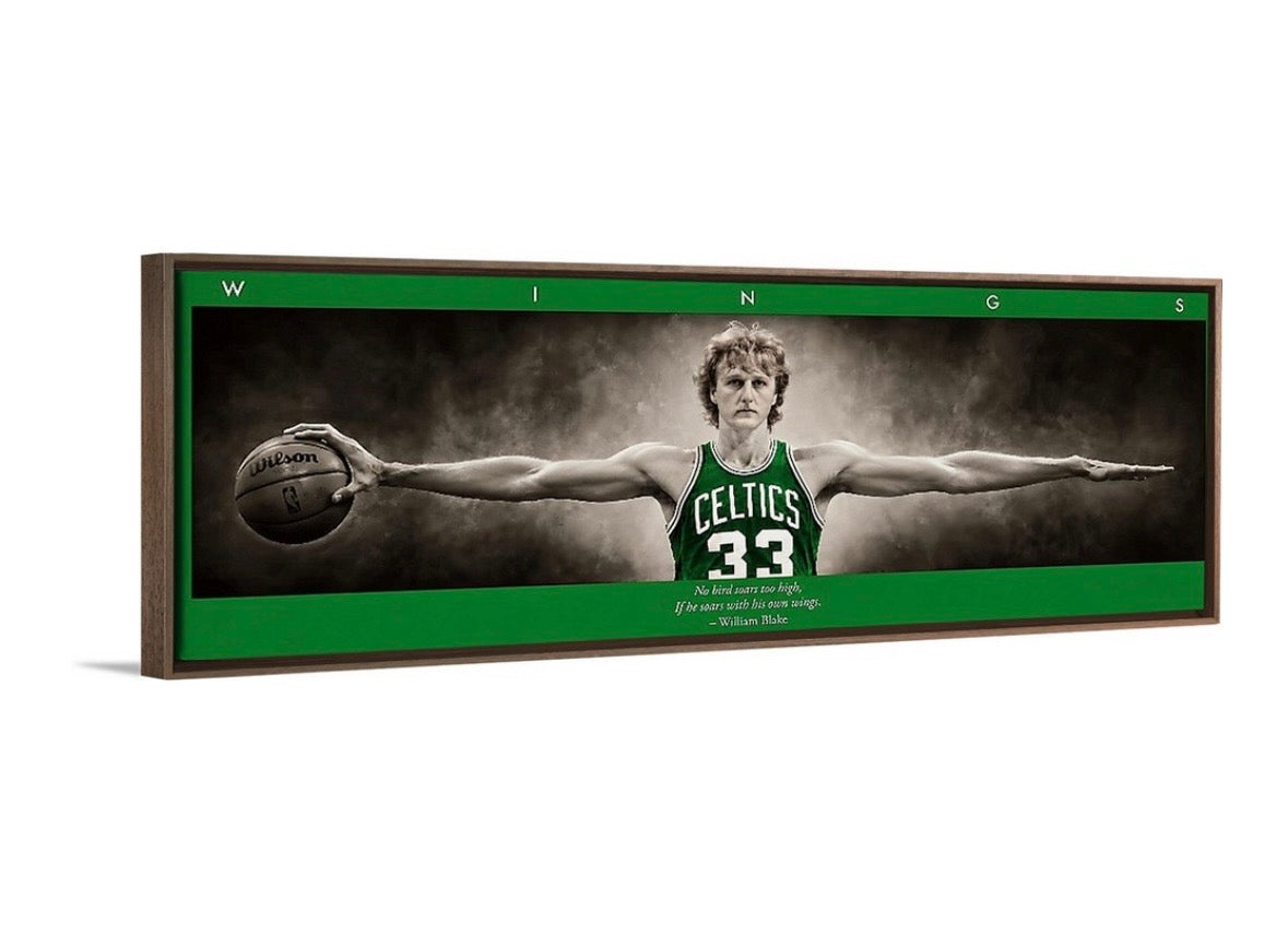 Larry Birds Wings (Color Edition)