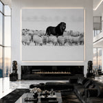 Lion amongst Sheep