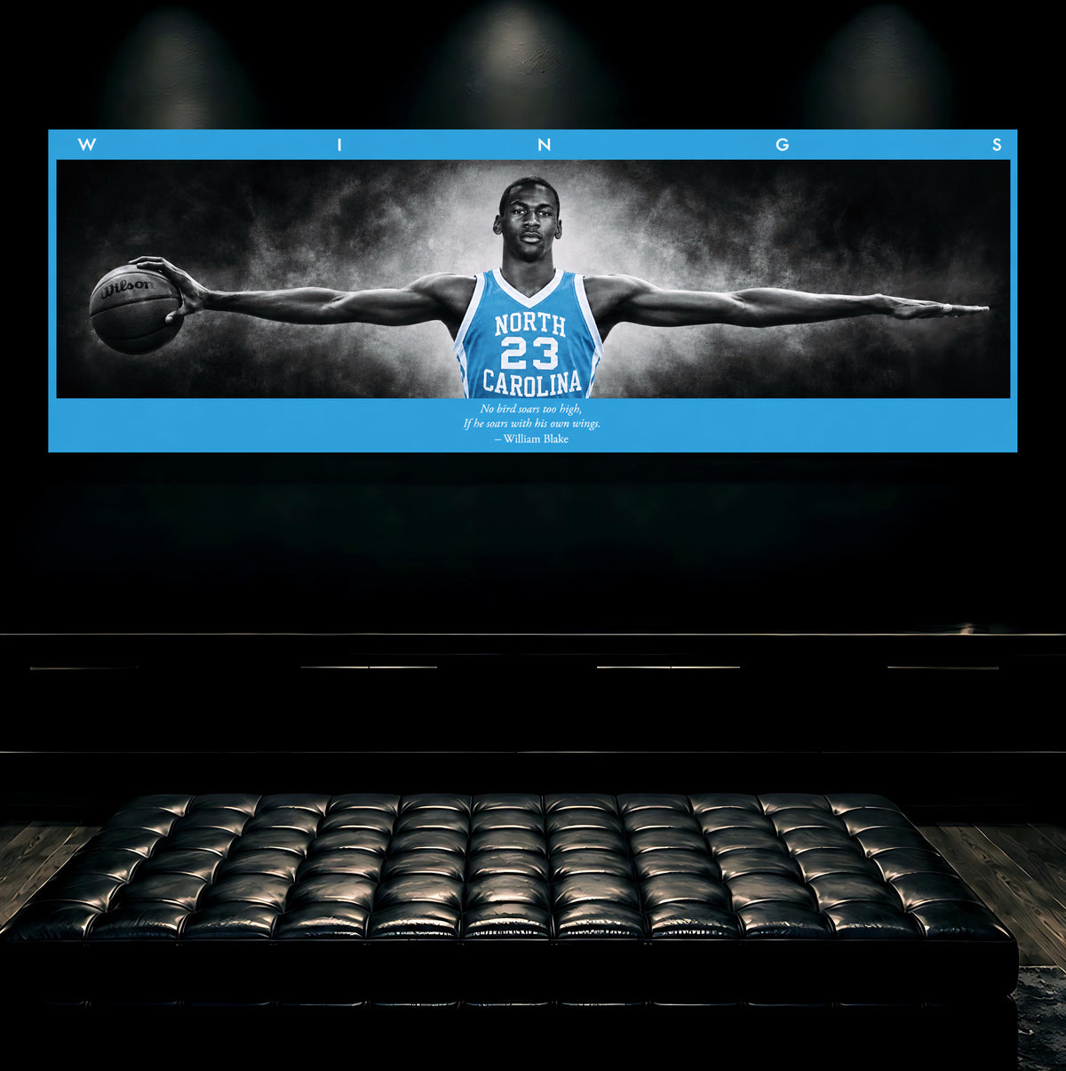Jordan Wings (Tarheel Edition)
