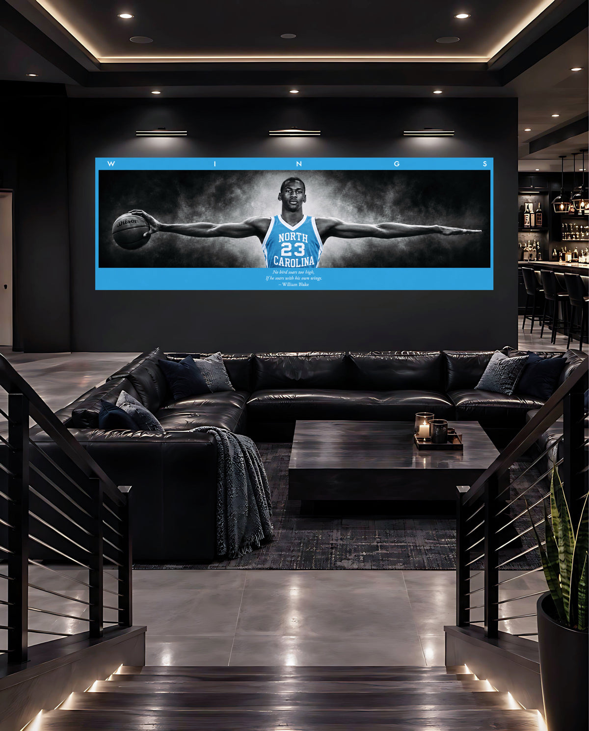 Jordan Wings (Tarheel Edition)