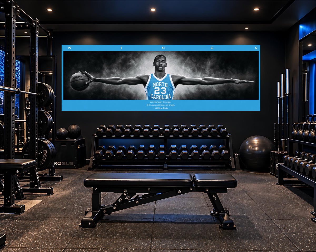 Jordan Wings (Tarheel Edition)